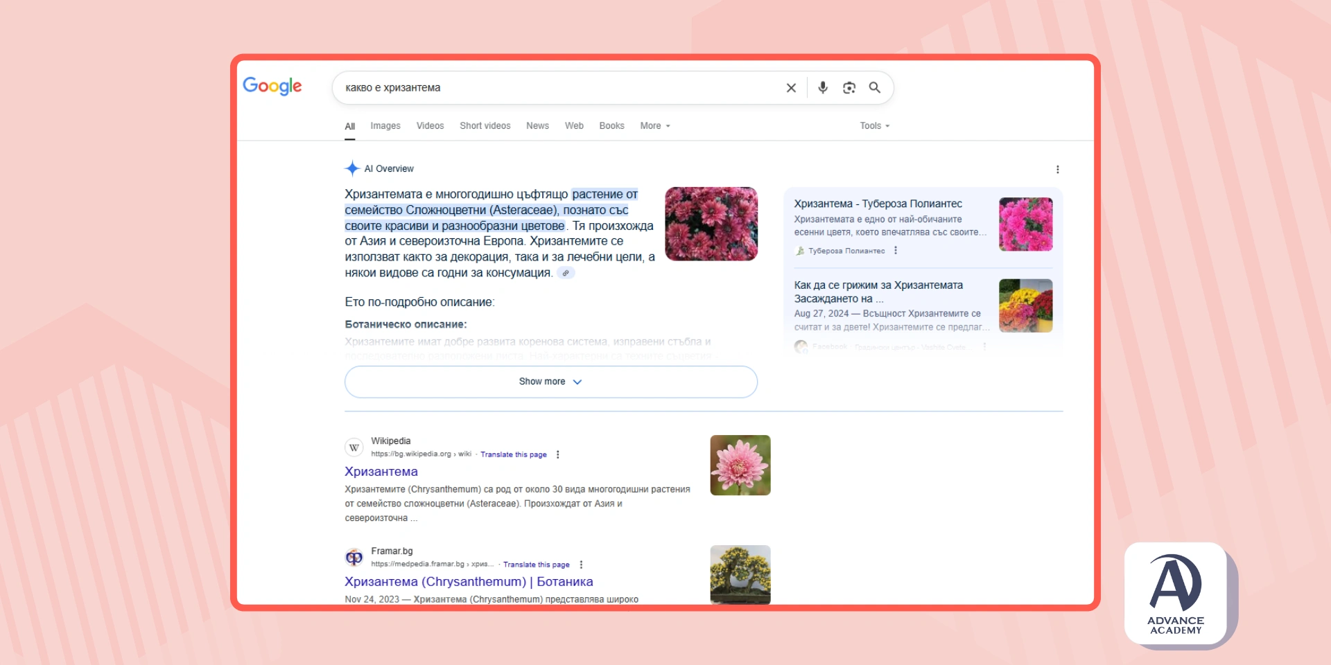 Пример за Google SGE в търсене за „какво е хризантема“ - включено в статията на Advance Academy за „Какво е Google SGE?“