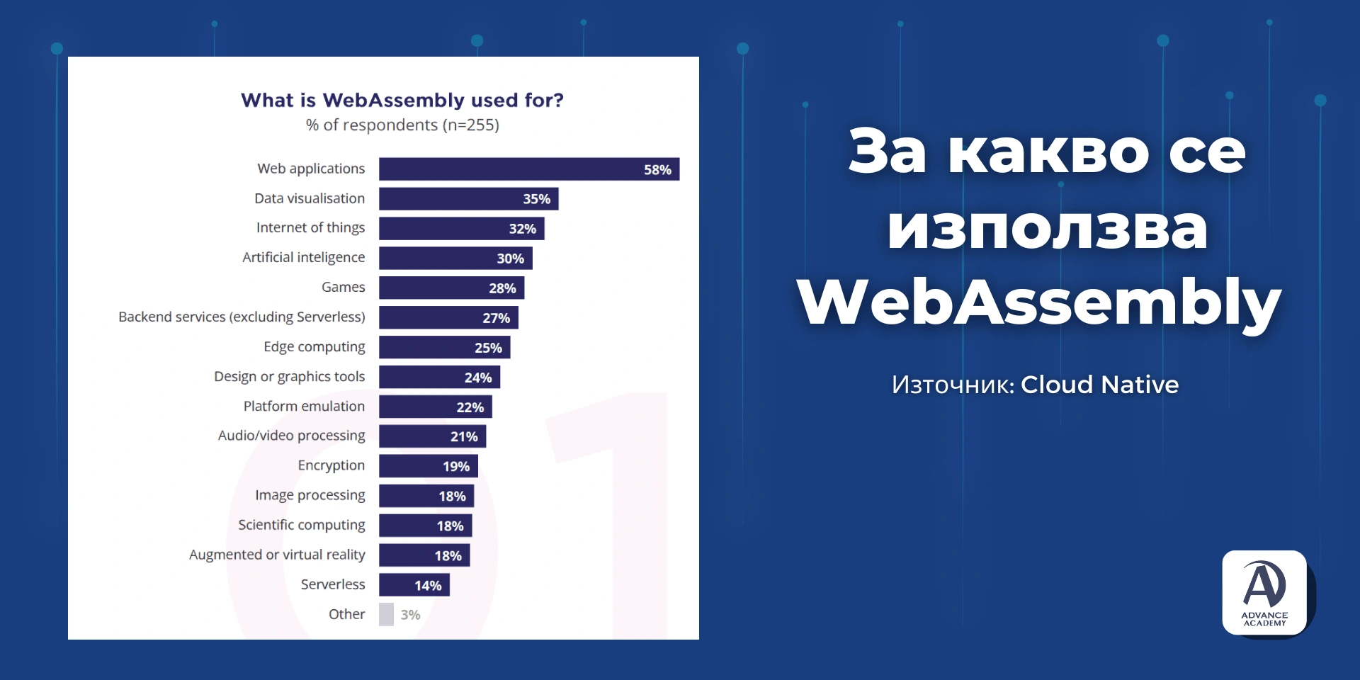 За какво се използва Web Assembly Advance Academy