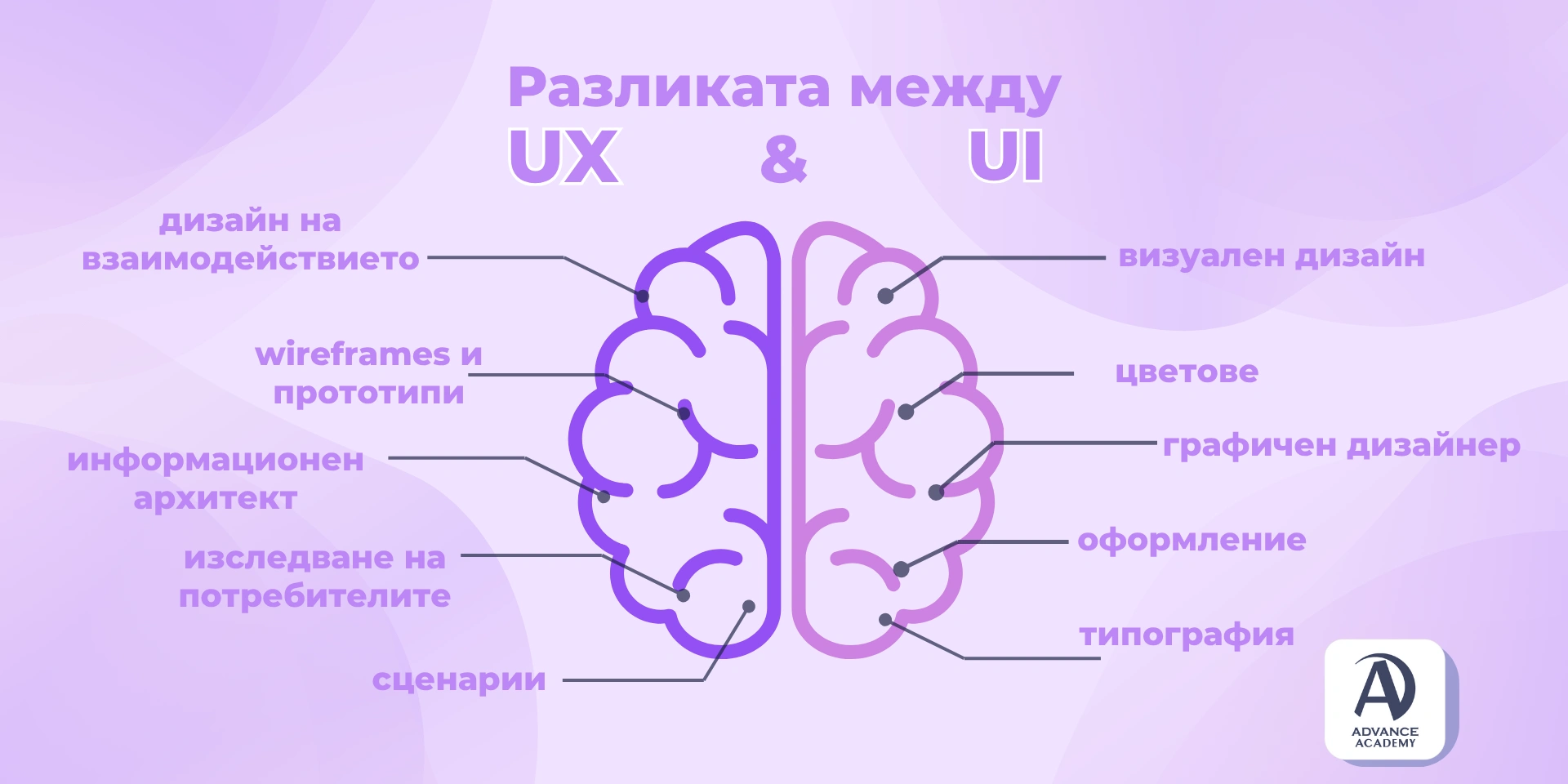 Схема на разликата между UX и UI дизайн, използвана в статията на Advance Academy