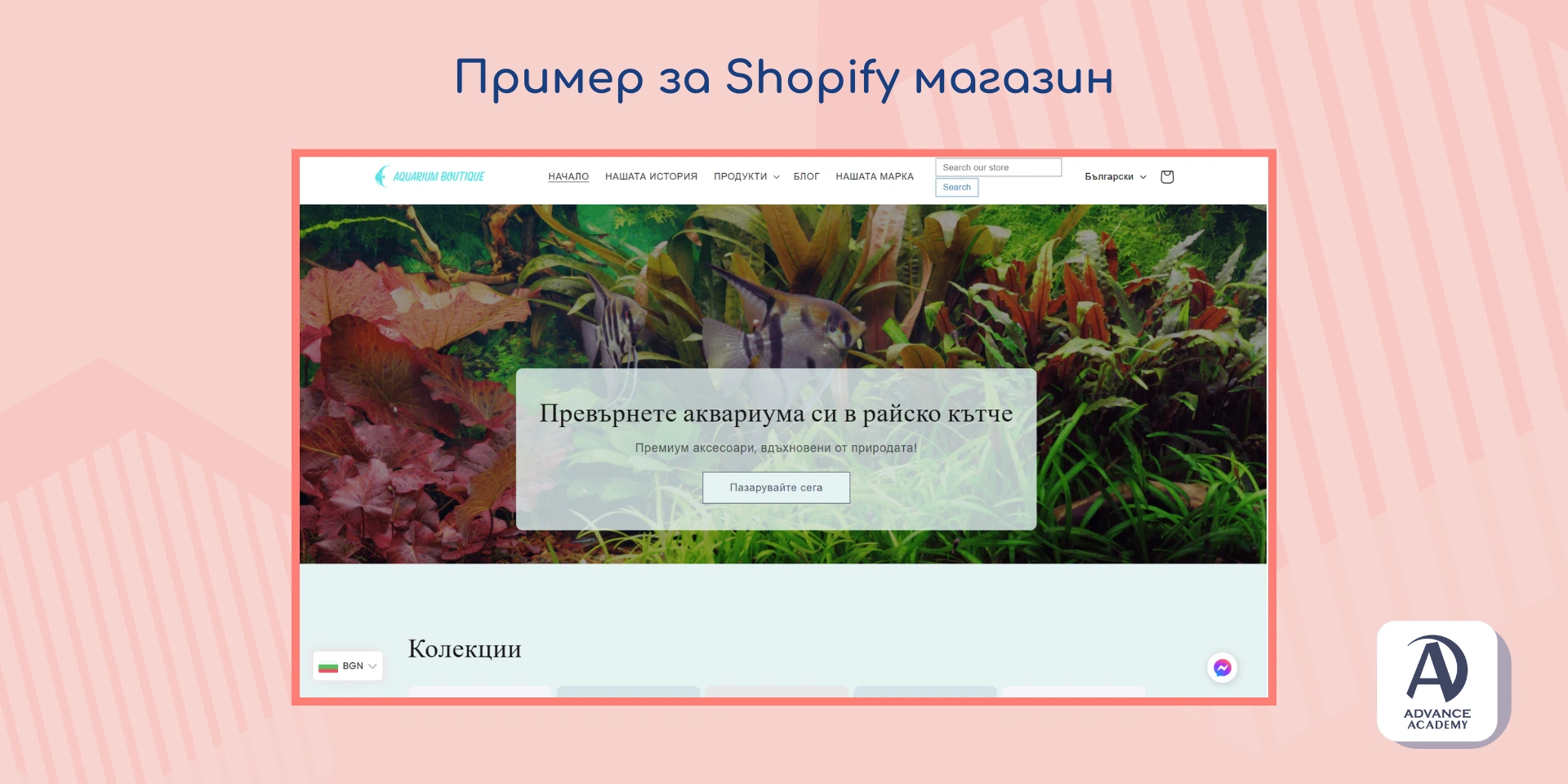 Пример за Shopify онлайн магазин, използван в статията на Advance Academy