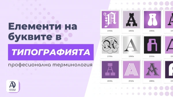 Елементи на буквите в типографията - професионална терминология
