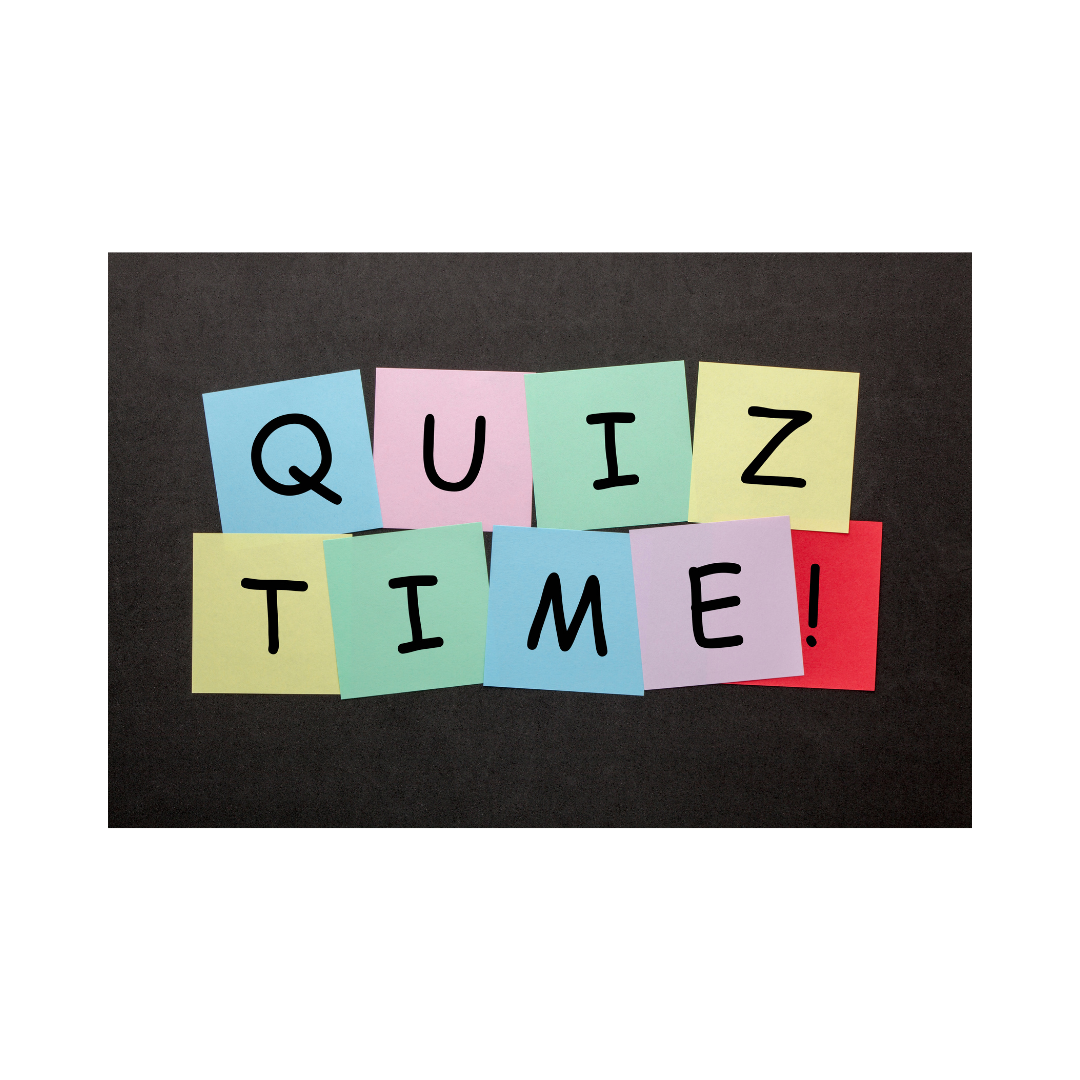 Куизни игри в занималня Варна Advance Academy